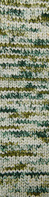 Cascade Yarns 128 Superwash Hand Paints Glade 708