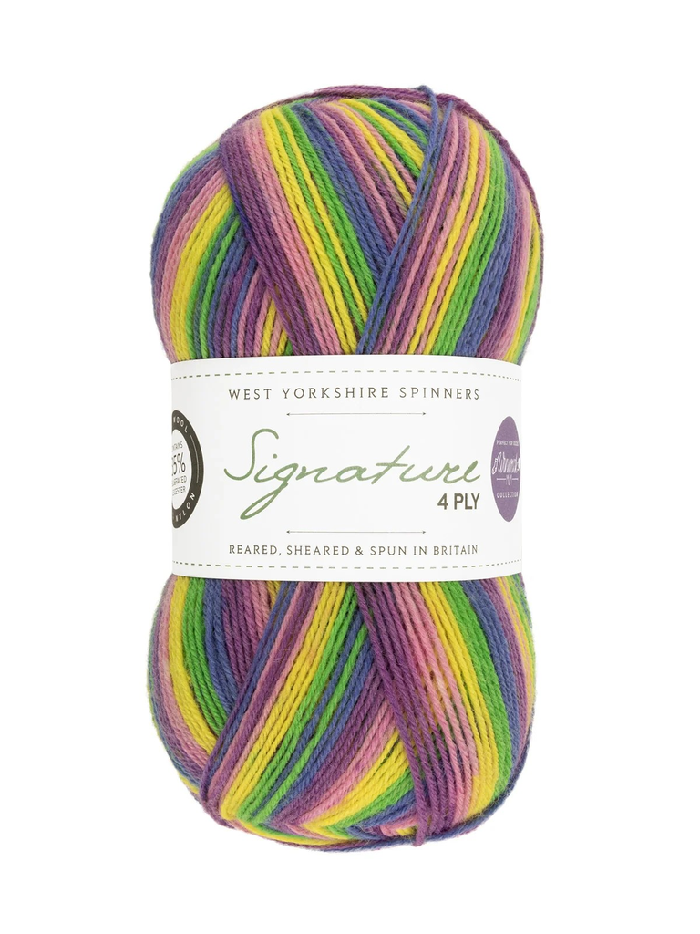 West Yorkshire Spinners Signature 4 Ply Windwick Mum Collection Wildflower 872