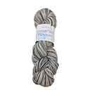Berroco Vintage Sock Handpaint Silver Lining 12203