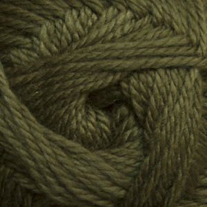 Cascade Yarns Cherub Aran Fir Green 60