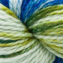 Cascade Yarns 128 Superwash Hand Paints Tropics 707