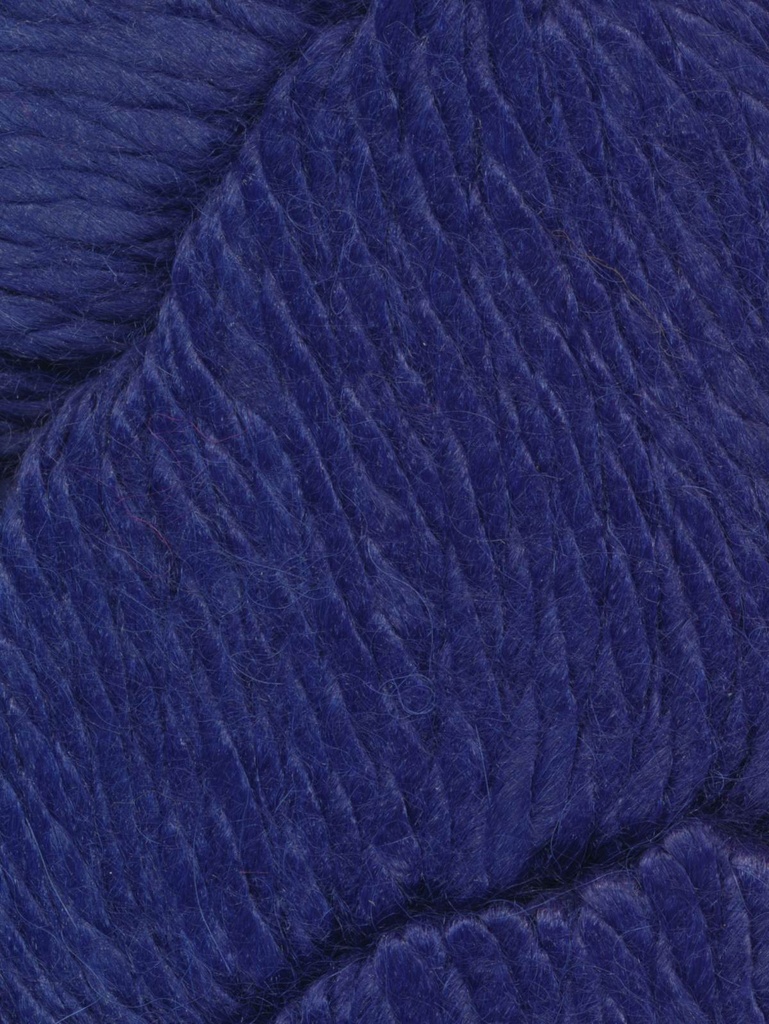 Ella Rae Cozy Alpaca Chunky Lupine 534 (discontinued)