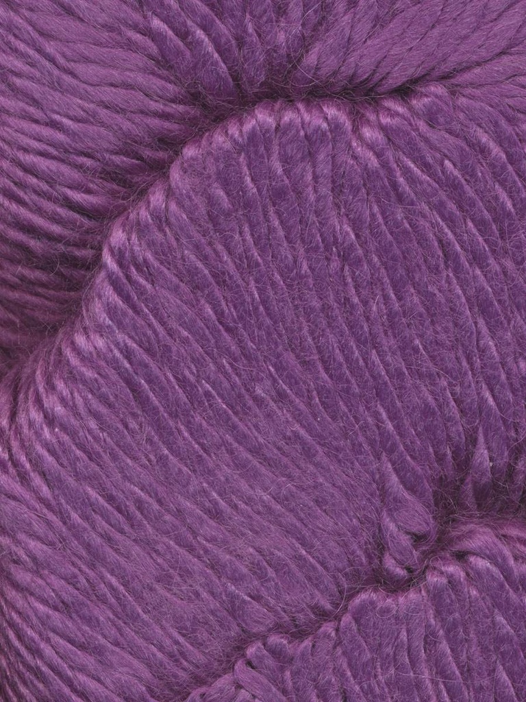 Ella Rae Cozy Alpaca Chunky Allium 538 (discontinued)