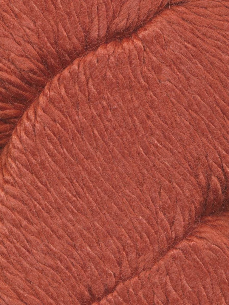 Ella Rae Cozy Alpaca Chunky Marmalade 540