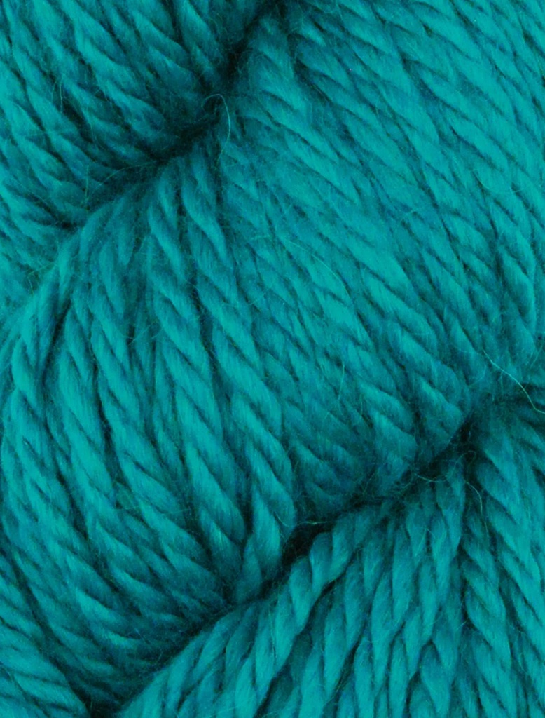 Ella Rae Cozy Alpaca Chunky Cyan 557