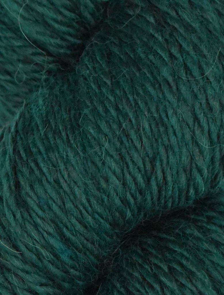 Ella Rae Cozy Alpaca Chunky Evergreen 567