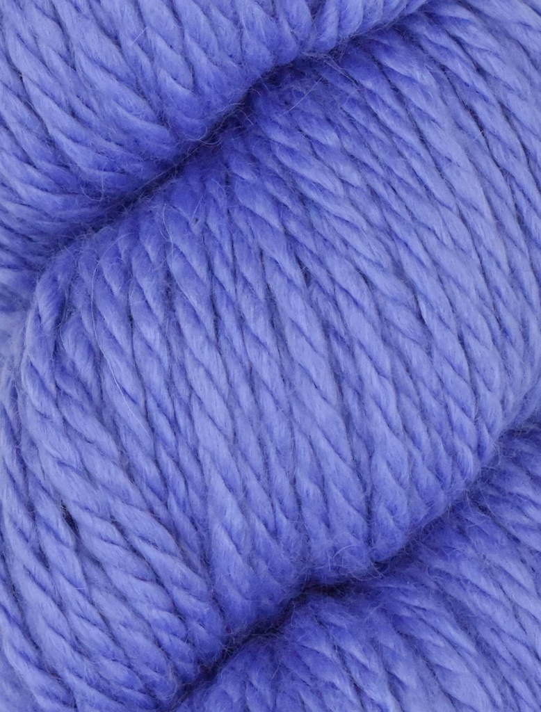 Ella Rae Cozy Alpaca Chunky Azure 569