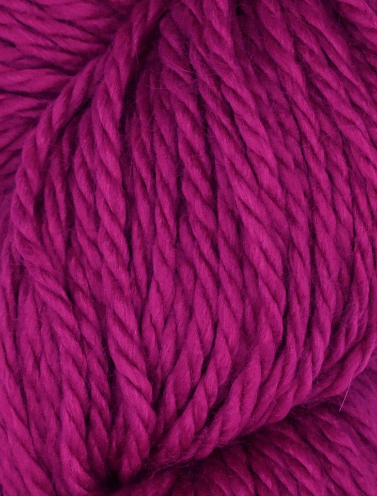 Ella Rae Cozy Alpaca Chunky Dahlia 582