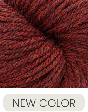 Cascade Yarns 220 Superwash Aran Burnt Ochre Heather 413