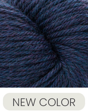 Cascade Yarns 220 Superwash Aran Blue Iris Heather 423