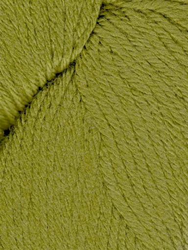 [FAL 0010] Queensland Collection Falkland Worsted Avocado 10