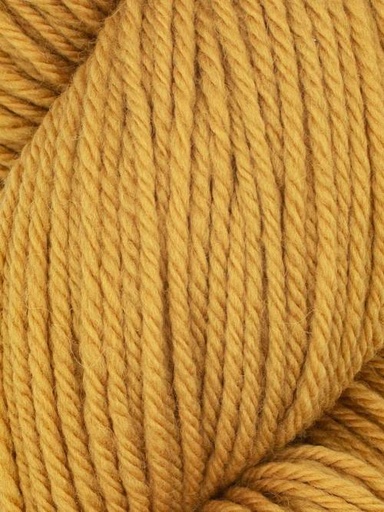 [FAL 0013] Queensland Collection Falkland Worsted Butterscotch 13