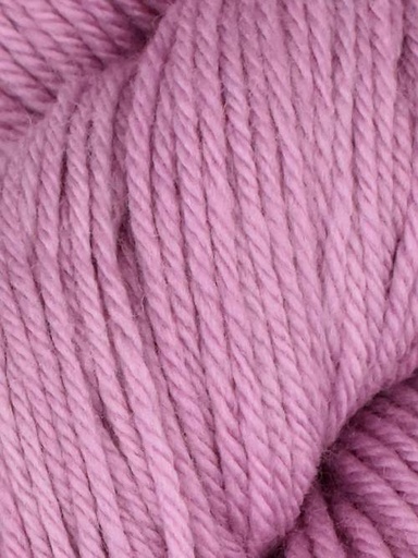[FAL 0029] Queensland Collection Falkland Worsted Thistle 29