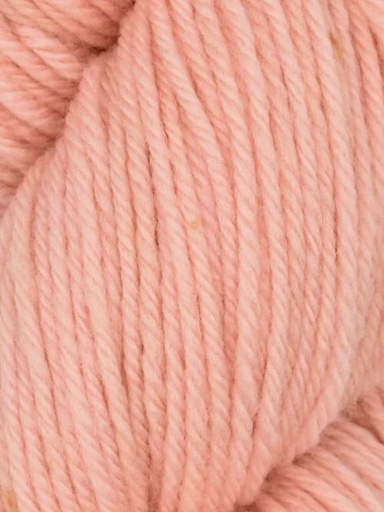 [FAL 0046] Queensland Collection Falkland Worsted Soft Coral 46