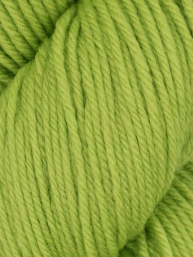 [FAL 0047] Queensland Collection Falkland Worsted Lime Zest 47