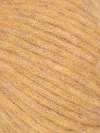 [BEA 0040] Juniper Moon Farm Beatrix Butterscotch 40