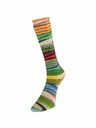 Laines du Nord Eclectic Sock 06