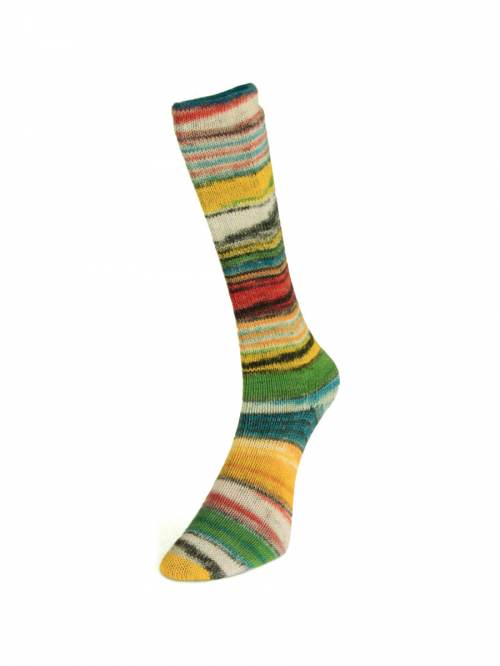 Laines du Nord Eclectic Sock 01