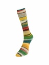 Laines du Nord Eclectic Sock 01