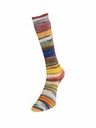 Laines du Nord Eclectic Sock 02