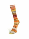 Laines du Nord Eclectic Sock 05