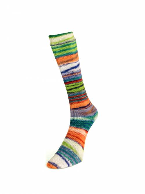 Laines du Nord Eclectic Sock 03