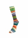 Laines du Nord Eclectic Sock 03
