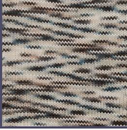 Berroco Vintage Sock Handpaint Silver Lining 12203
