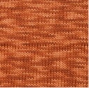 Berroco Vintage Handpaint Autumn Copper 5217