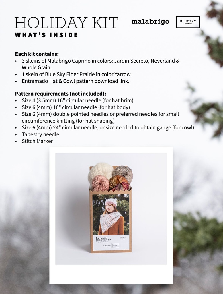 Malabrigo & Blue Sky Fibers Holiday Kit - Entramado Hat and Cowl Featuring Caprino & Prairie