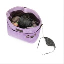 della Q Maker's Canvas Daily Mini Violet