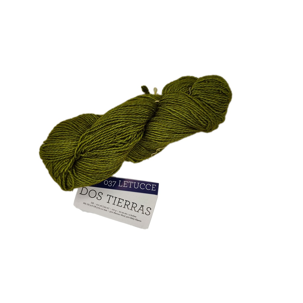 Malabrigo Dos Tierras Lettuce 037
