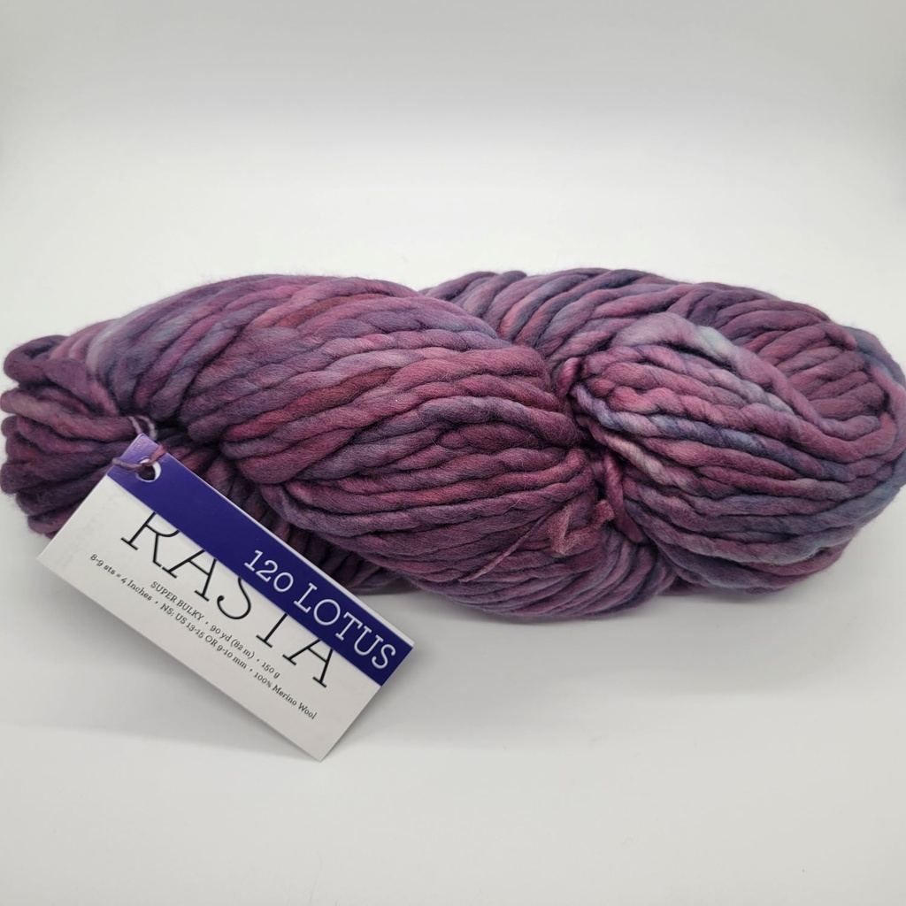 Malabrigo Rasta Lotus 120