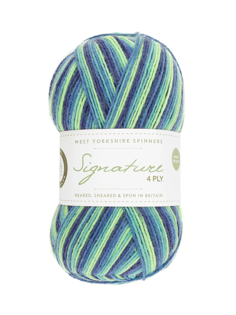 West Yorkshire Spinners Signature 4 Ply Cocktails Collection Blue Lagoon 831