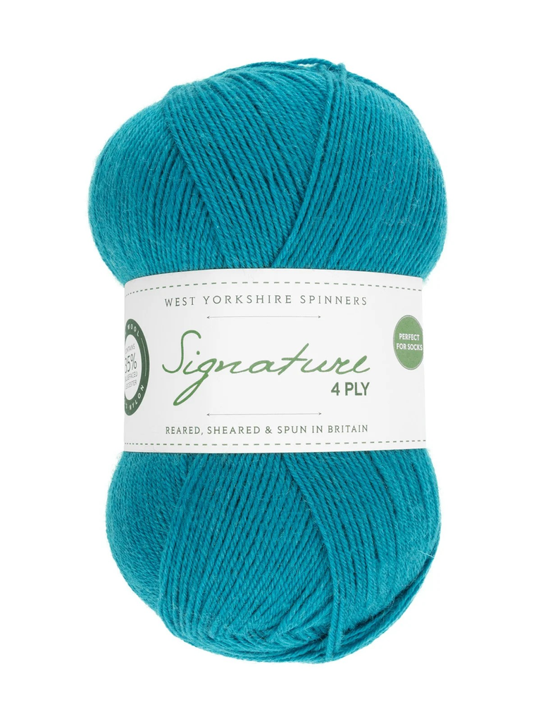 West Yorkshire Spinners Signature 4 Ply Blueberry Bonbon 365