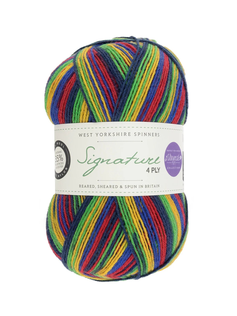 West Yorkshire Spinners Signature 4 Ply Windwick Mum Collection Brightside 874