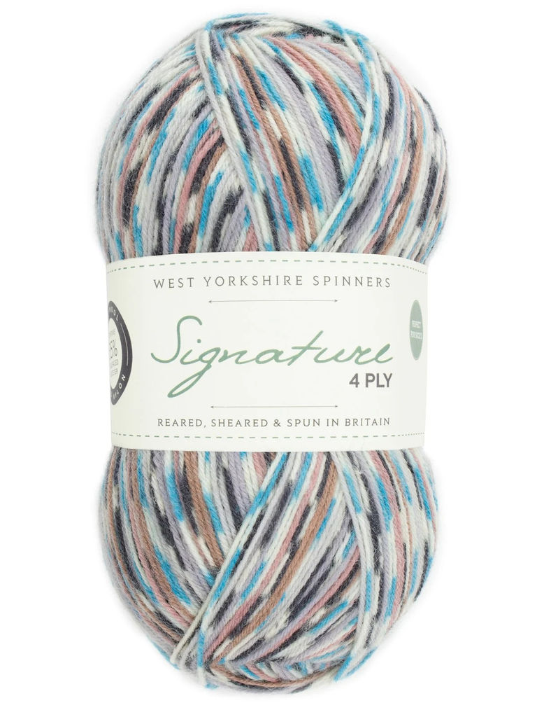 West Yorkshire Spinners Signature 4 Ply Country Birds Collection Jay 1167