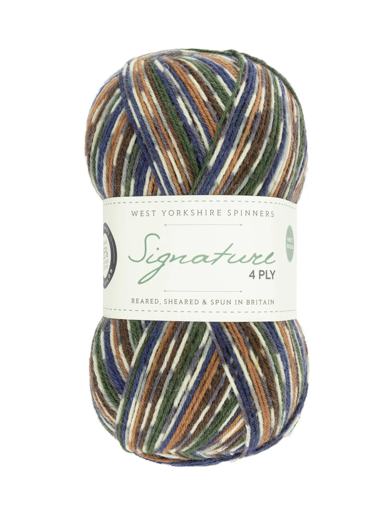 West Yorkshire Spinners Signature 4 Ply Country Birds Collection Mallard 862 