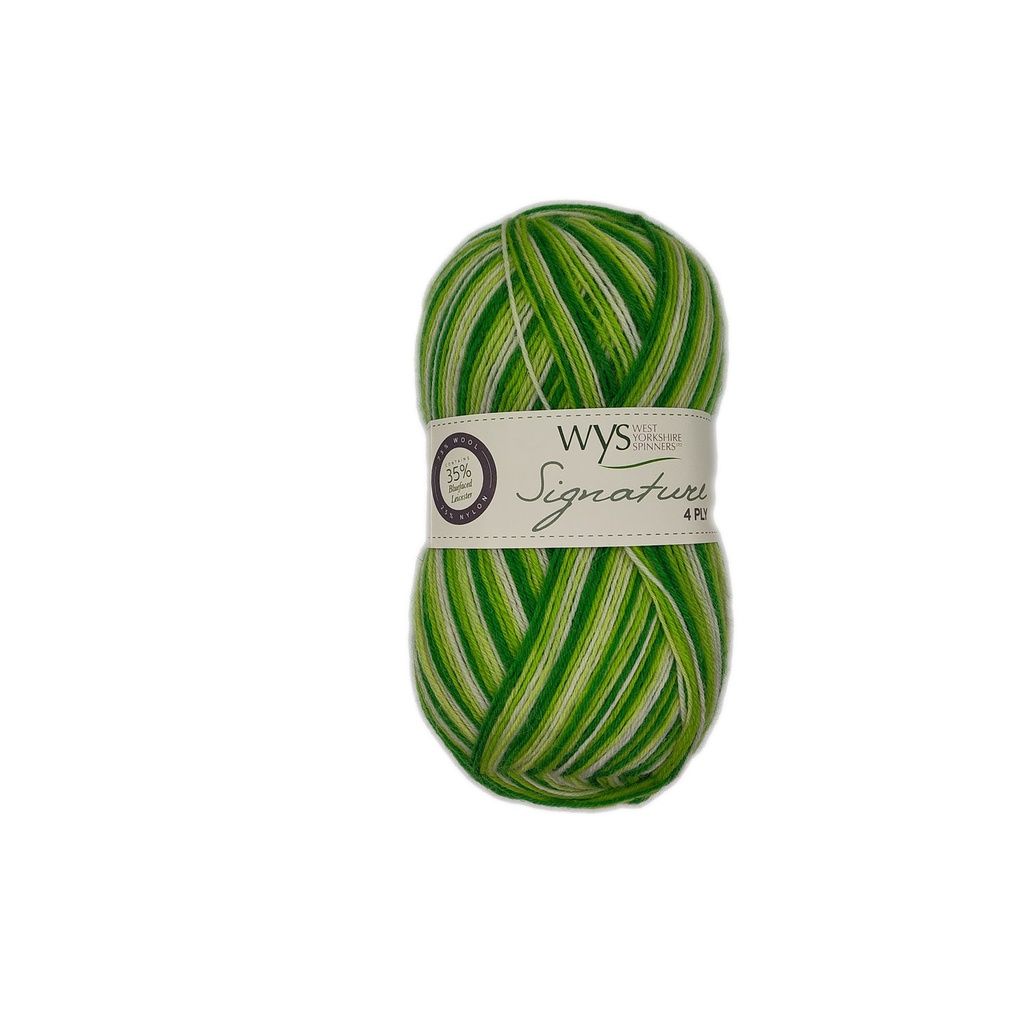 West Yorkshire Spinners Signature 4 Ply Cocktails Collection Mojito 879 (discontinued)