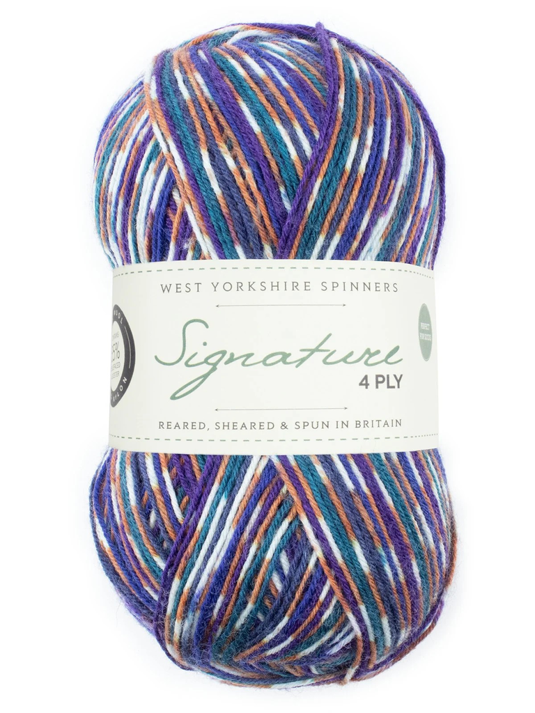 West Yorkshire Spinners Signature 4 Ply Country Birds Collection Starling 1169