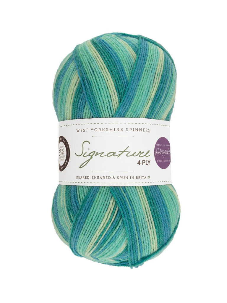 West Yorkshire Spinners Signature 4 Ply Winwick Mum Collection Seascape 873