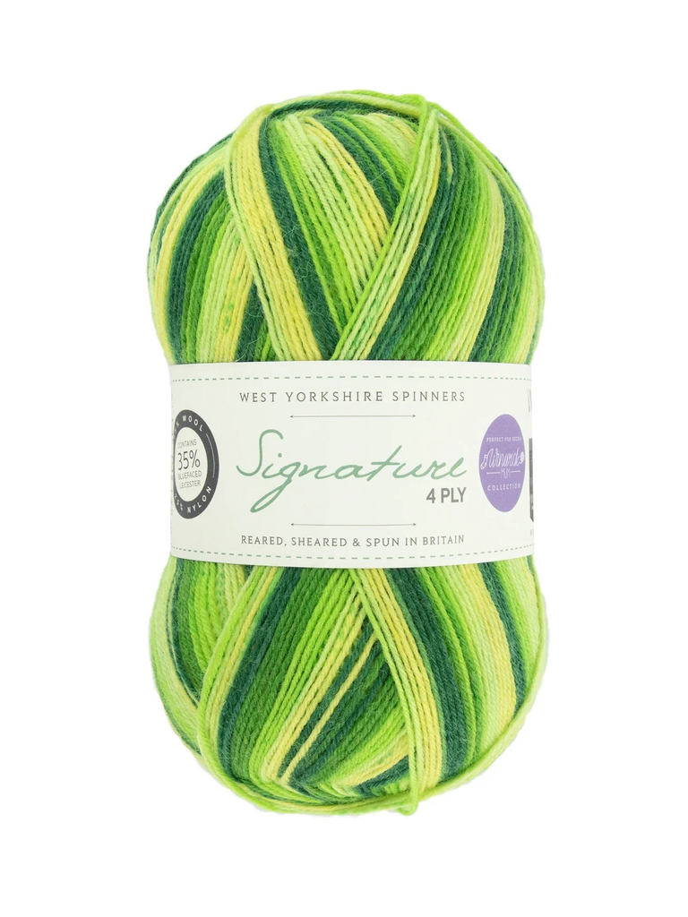 West Yorkshire Spinners Signature 4 Ply Winwick Mum Collection Spring Green 882