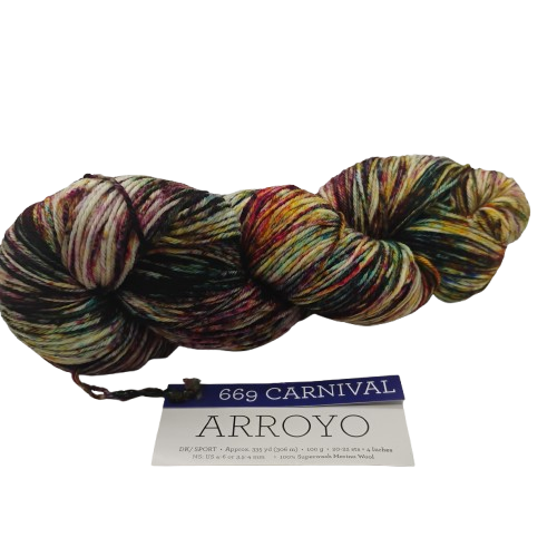 Malabrigo Arroyo Carnival 669