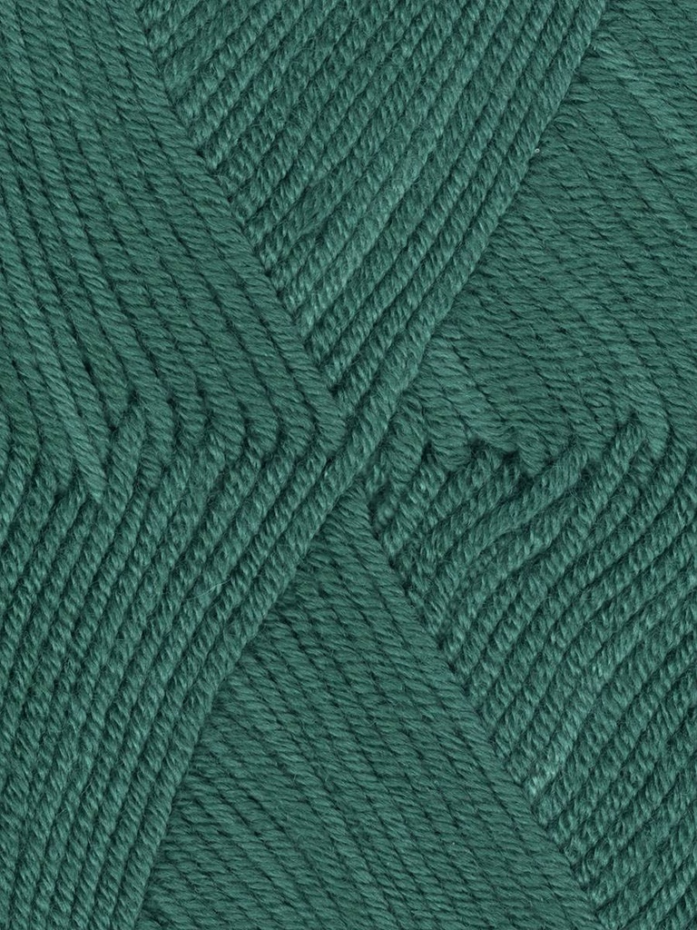 Ella Rae Cashmereno Sport Malachite 32 (discontinued)