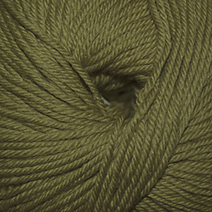 Cascade Yarns 220 Superwash Cedar 209