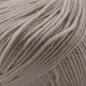 Cascade Yarns 220 Superwash Frosted Almond 228