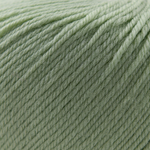Cascade Yarns 220 Superwash Laurel Green 250