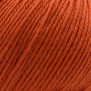 Cascade Yarns 220 Superwash Pureed Pumpkin 366