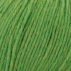 Cascade Yarns 220 Superwash Fern Heather 384