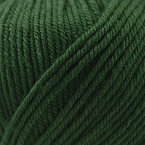 Cascade Yarns 220 Superwash Army Green 801